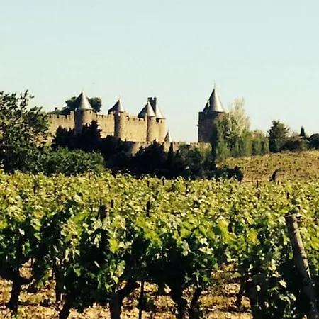 Grande Et Belle Maison Pour 10 Au Calme Au Pied Du Chateau Medieval Holiday home