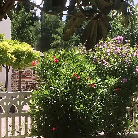Grande Et Belle Maison Pour 10 Au Calme Au Pied Du Chateau Medieval Holiday home Carcassonne
